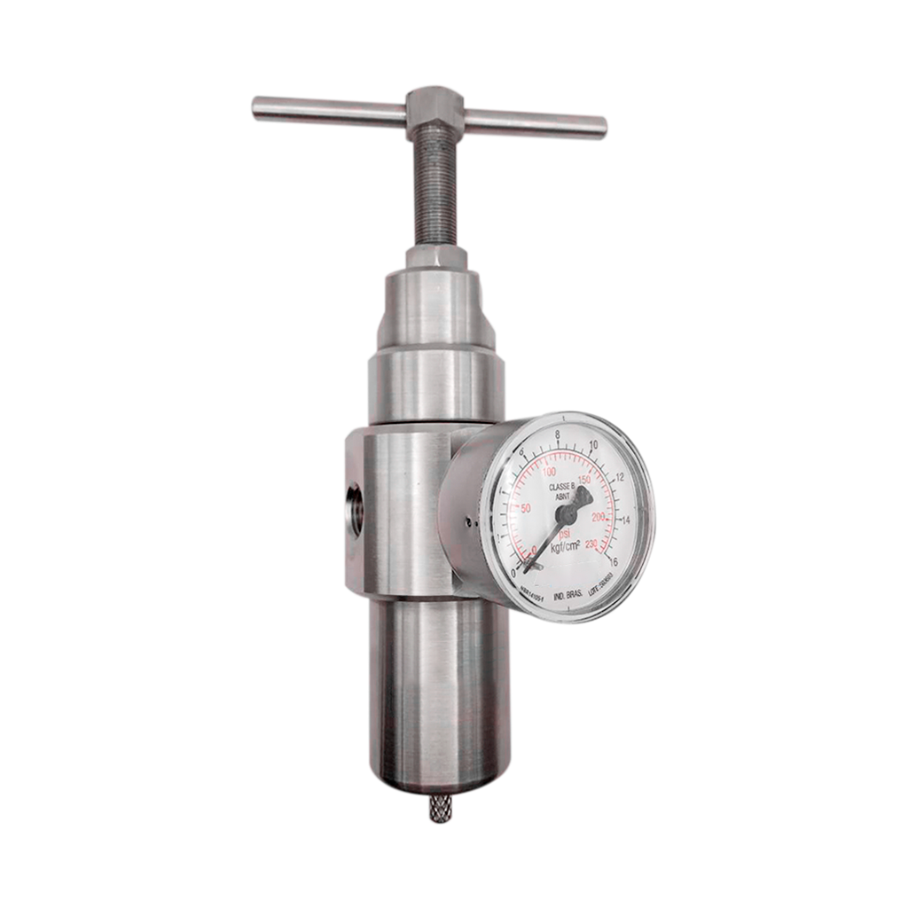 Filtro Regulador Inox